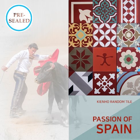 PASSION OF SPAIN